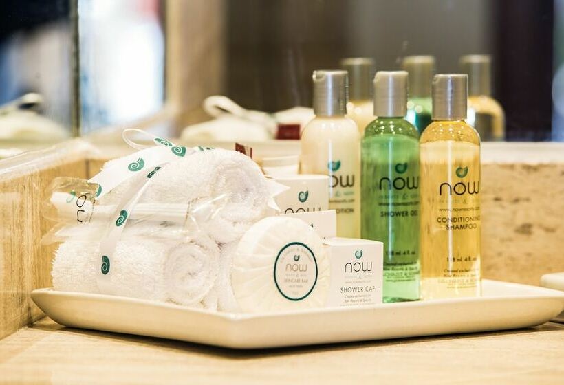 غرفة قياسية, Dreams Sapphire Resort & Spa