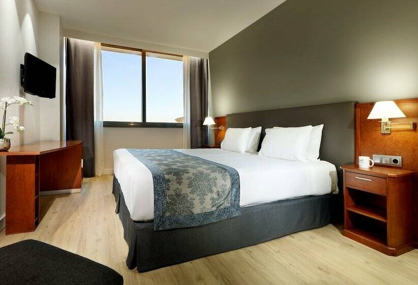 اتاق استاندارد, Exe Isla Cartuja