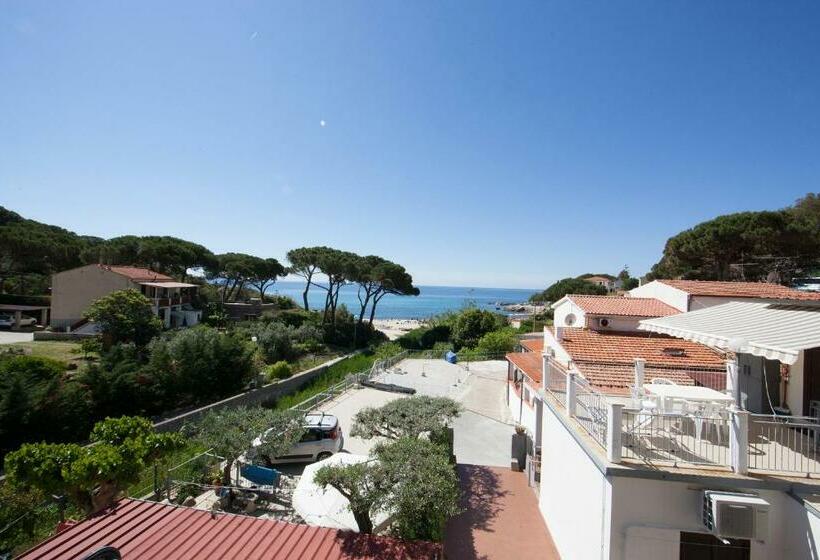 Номер Стандарт, Da Italo