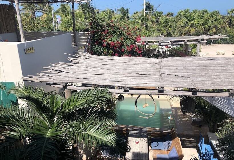 Suite with Views, Lunarena Barefoot
