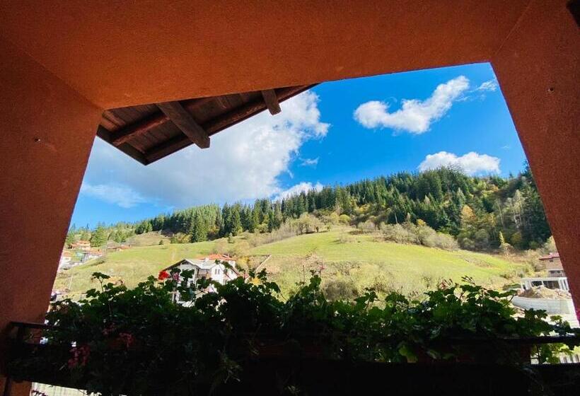 Номер Стандарт с Балконом, Family Hotel Savov
