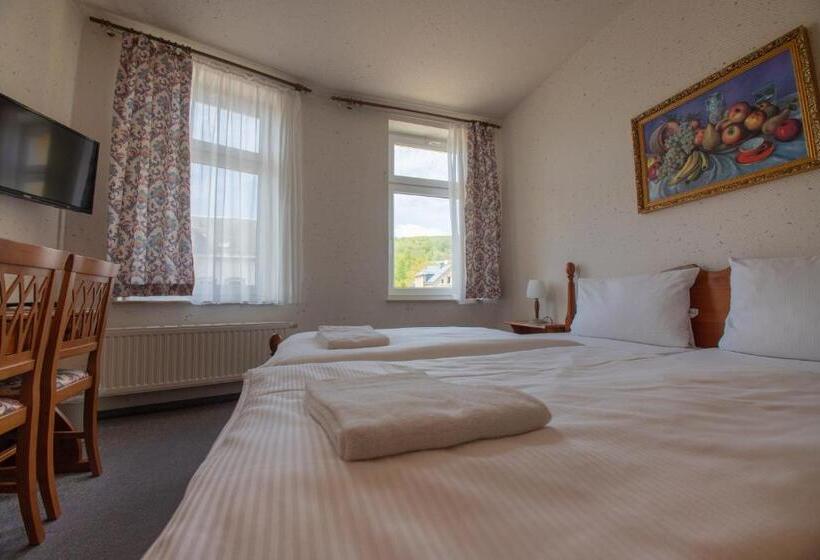 Номер Стандарт, Haus Schlematal Hotel Und Restaurant