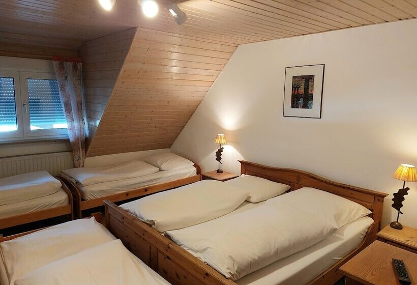Семейное Студио, Gästehaus Langhammer