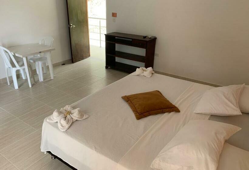 Номер Стандарт, Inversiones Napoles