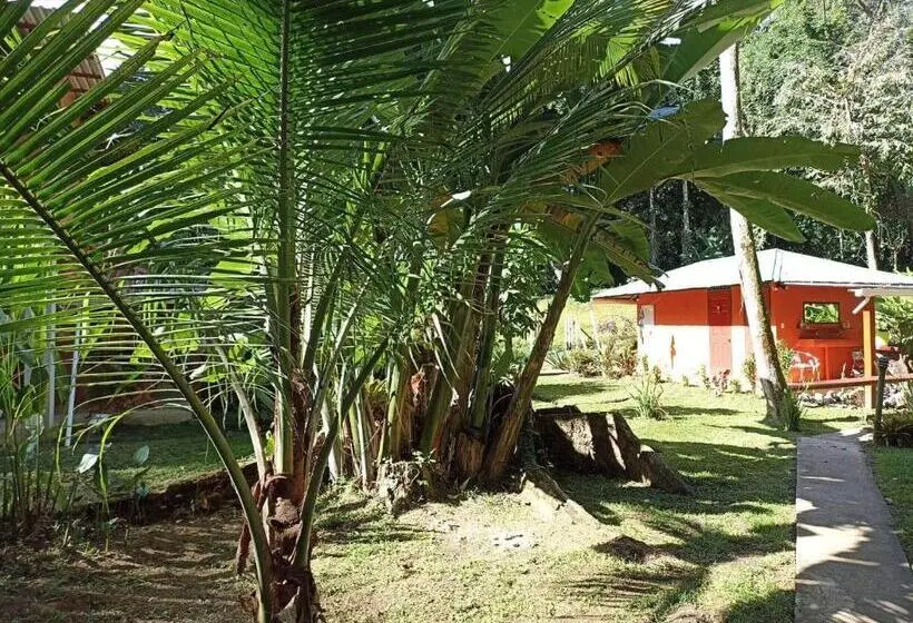 テラス付きスタンダードルーム, Finca Valeria Treehouses Glamping