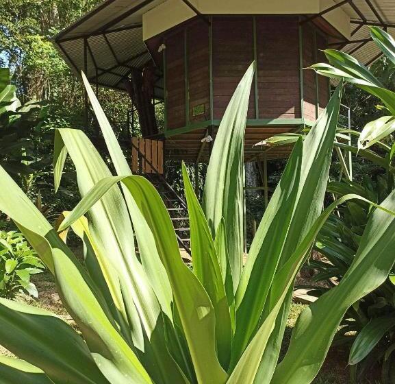 חדר סטנדרט עם טרסה, Finca Valeria Treehouses Glamping