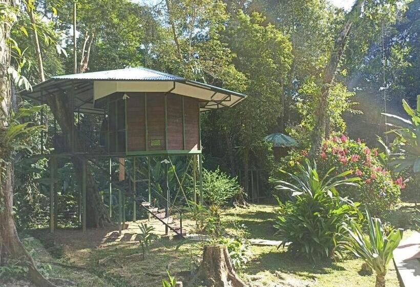 חדר סטנדרט עם טרסה, Finca Valeria Treehouses Glamping