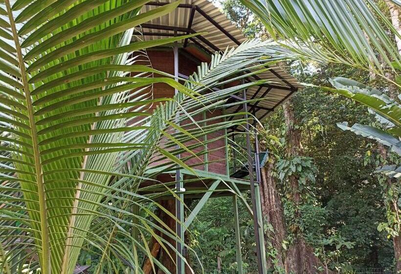 Номер Стандарт с Террасой, Finca Valeria Treehouses Glamping