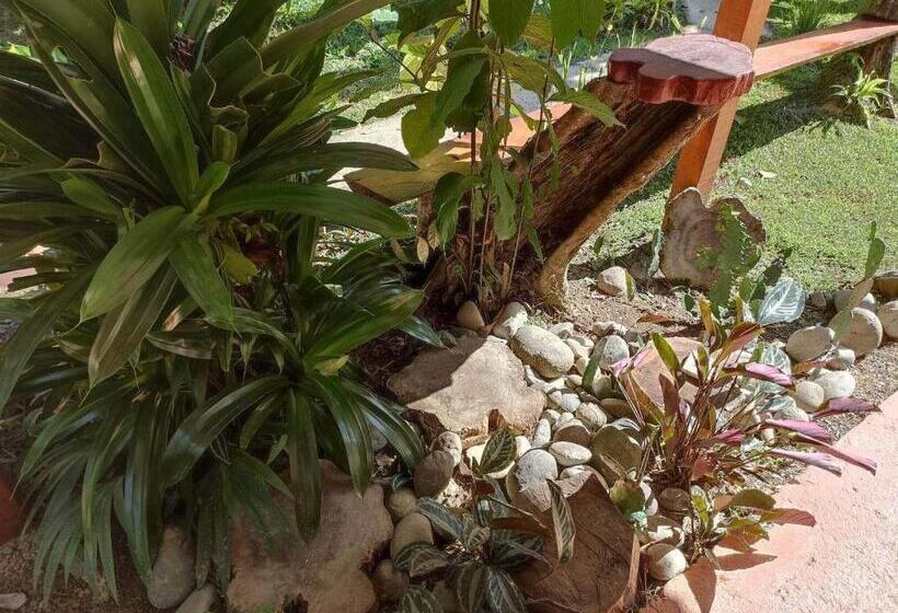 חדר סטנדרט עם טרסה, Finca Valeria Treehouses Glamping