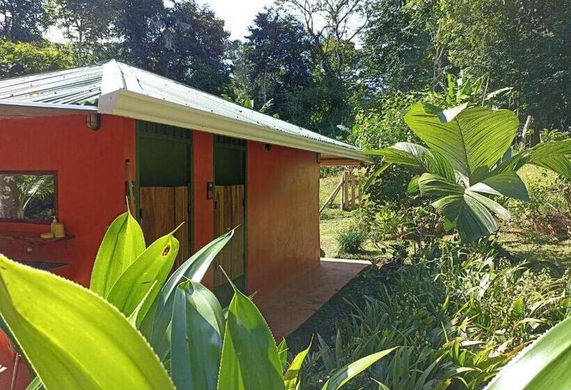 חדר סטנדרט עם טרסה, Finca Valeria Treehouses Glamping