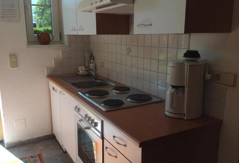 דירת חדר עם טרסה, Landhaus Tirol