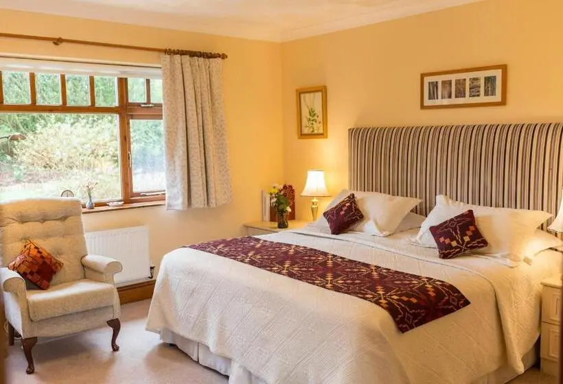 スタンダードルーム, Ael Y Bryn Luxury B&b, North Pembrokeshire