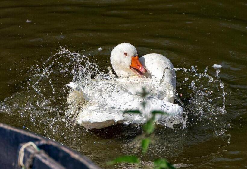 جناح عائلي, Chateau Le Colombier