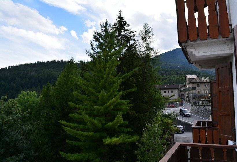 ‫غرفة فردية مزودة بتراس, Albergo Alpina