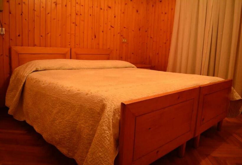 ‫غرفة فردية مزودة بتراس, Albergo Alpina