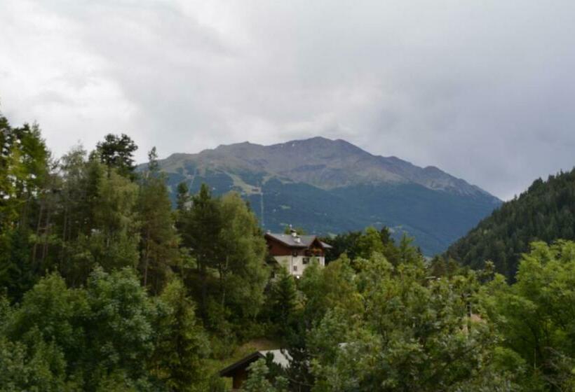 اتاق یک تخته با تراس, Albergo Alpina