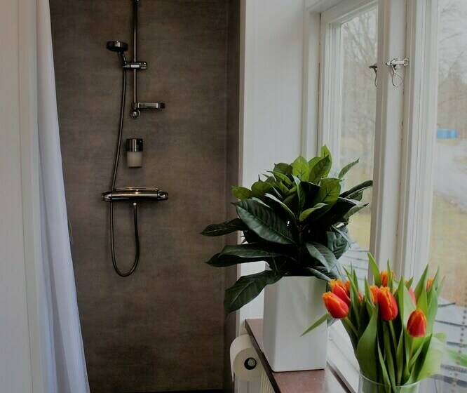 Номер Стандарт, L Taberg