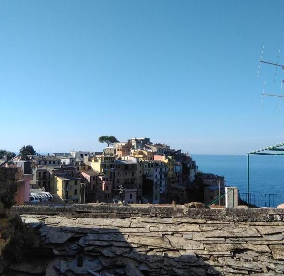 Студио Стандарт Вид на Сад, Sole Terra Mare