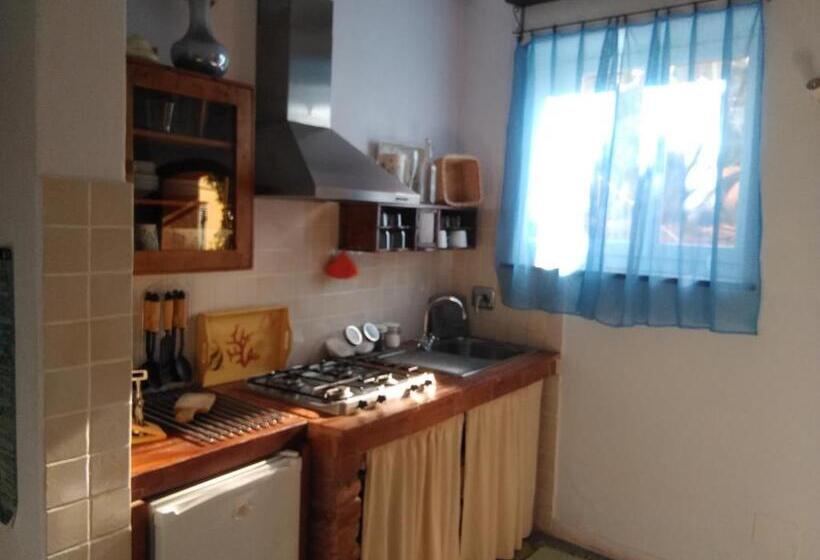 סטודיו סטנדרטי נוף לגינה, Sole Terra Mare