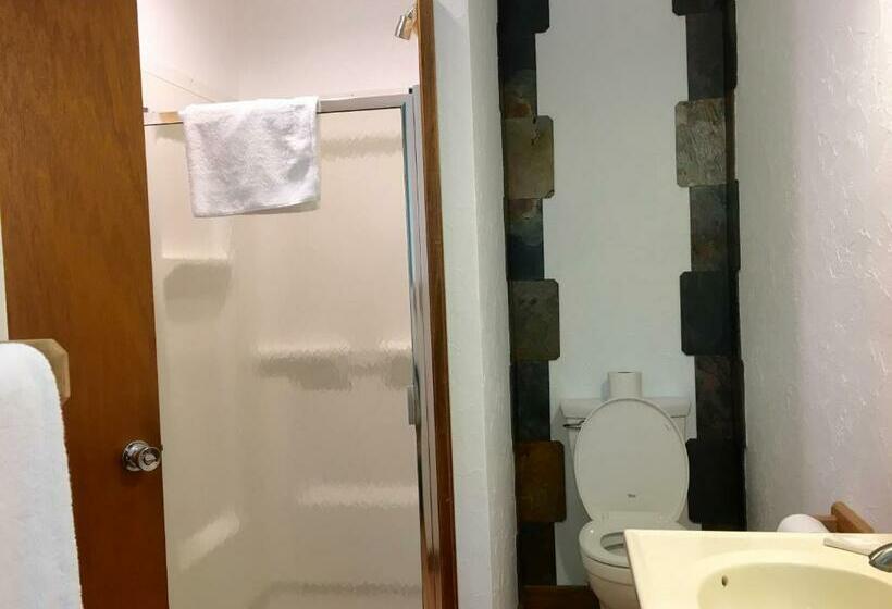 חדר סטנדרט, Slide Mountain Forest House