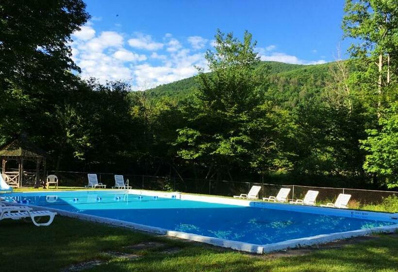 דירה בת חדר שינה 1 עם מרפסת, Slide Mountain Forest House