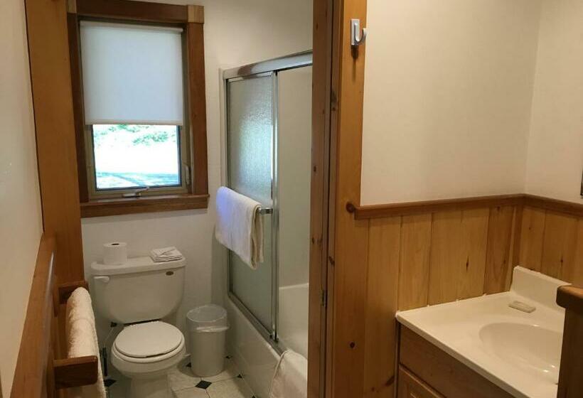 Апартаменты 1 Спальня с Балконом, Slide Mountain Forest House