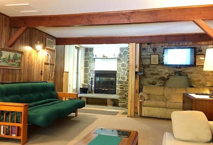 דירת חדר בקומת קרקע, Slide Mountain Forest House