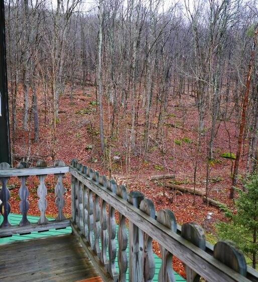 חדר משפחתי, Slide Mountain Forest House