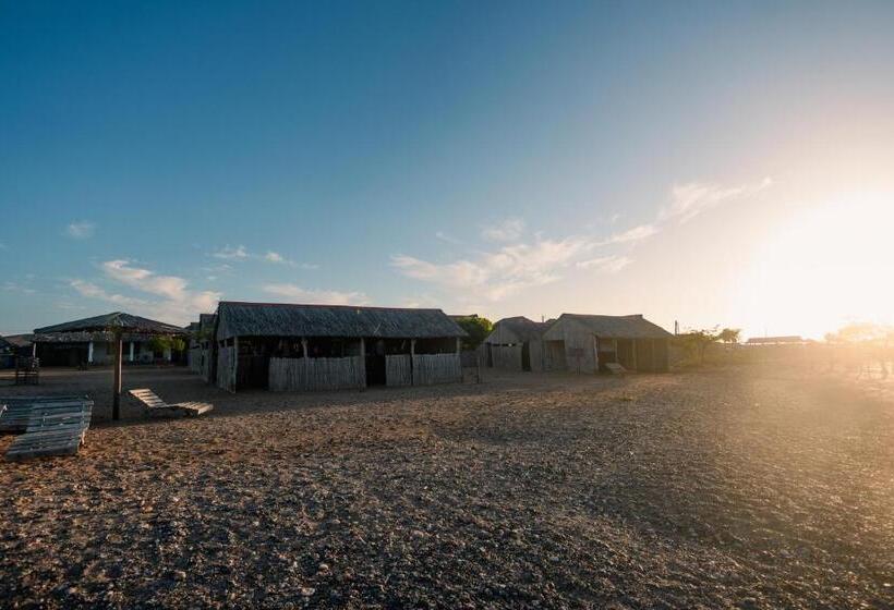 Номер Стандарт, Rancheria Utta
