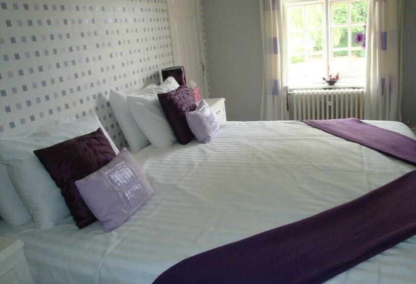 Семейный Номер, The Feathers