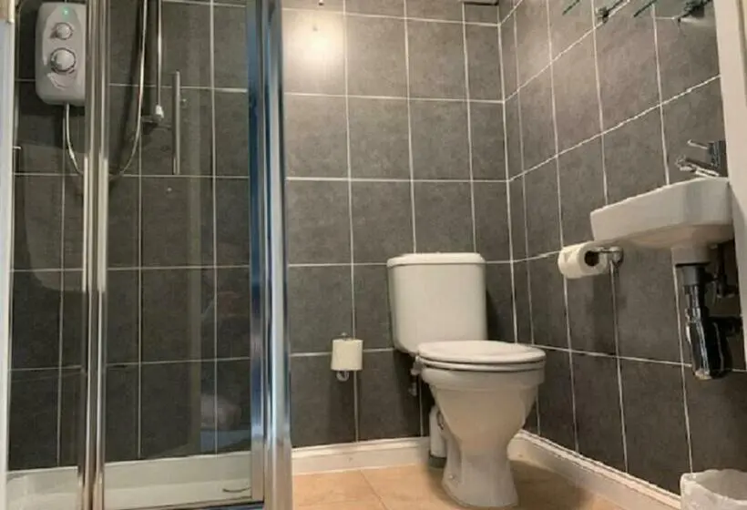 Cameră Basic, The Silverton Inn