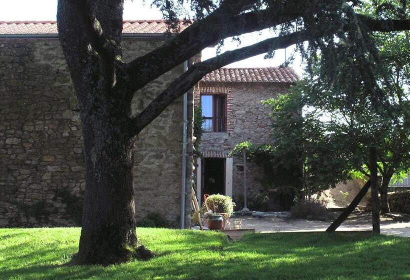 メゾネットスイート, La Blanchisserie