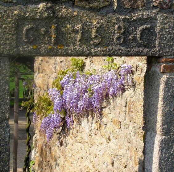メゾネットスイート, La Blanchisserie