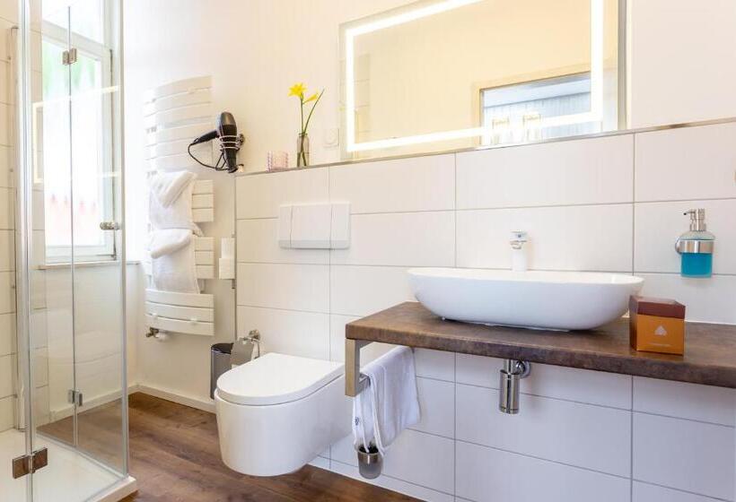 スタンダードルーム, Villa Sachsenhof