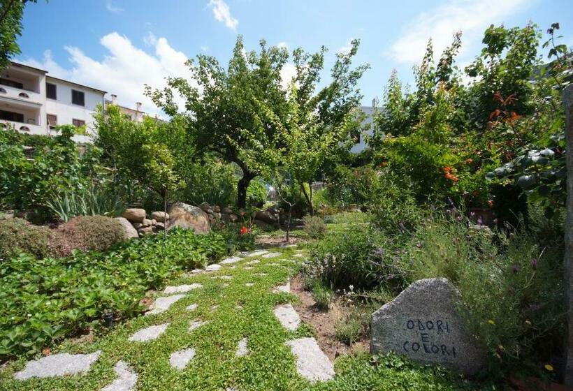 침실 1개 테라스 아파트, Corallo