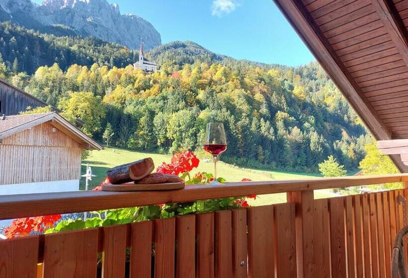 Номер Стандарт, Kristemoarhof