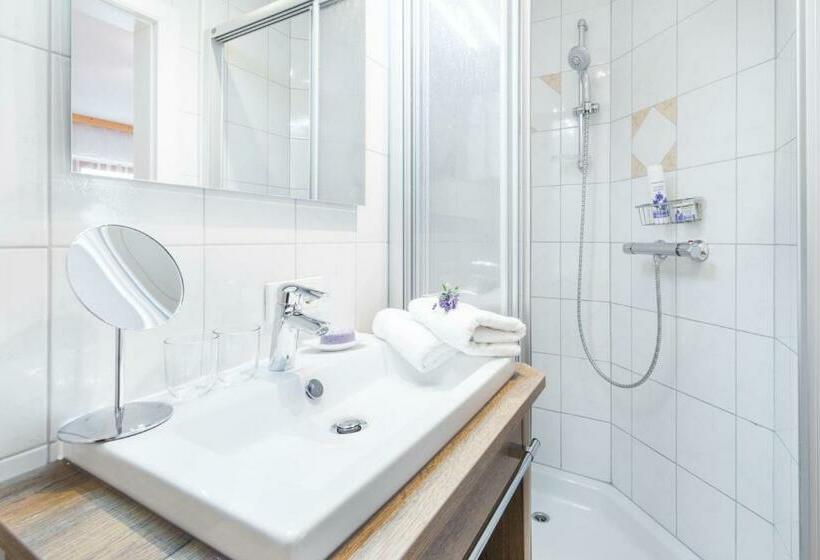 Апартаменты 1 Спальня с Видом, Kristemoarhof