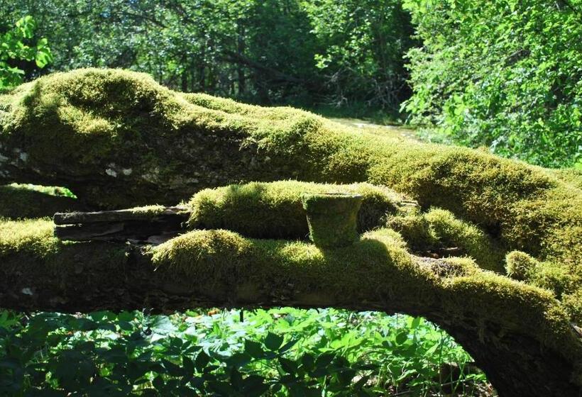 شقة غرفة واحدة مطلة على الحديقة, Kirjakkalan Ruukkikylä