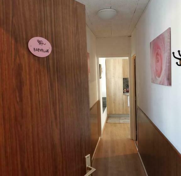 شقة غرفة واحدة, La Ruche Cantalienne