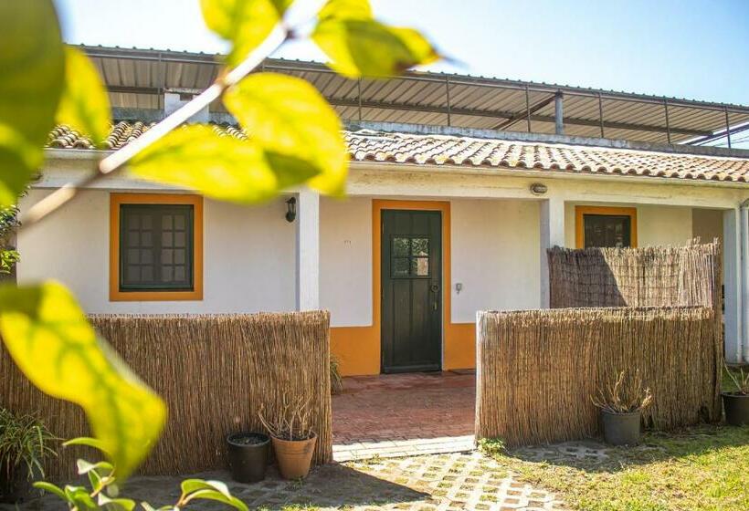 带1个卧室的公寓, Quinta Da Mimosa