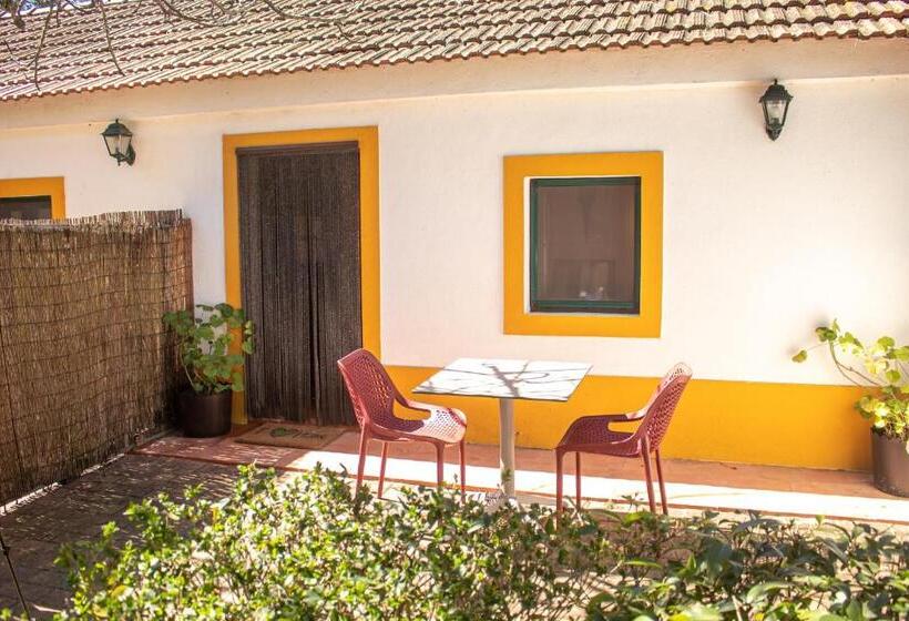 Номер Стандарт, Quinta Da Mimosa
