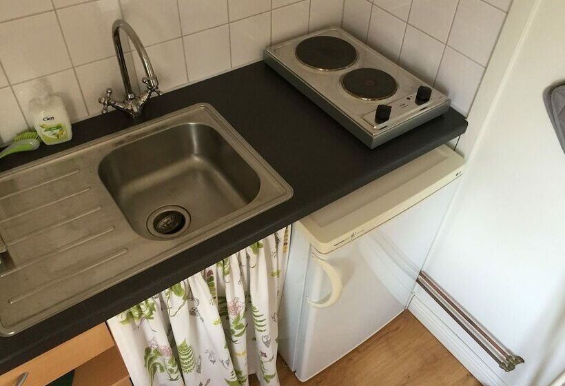 Апартаменты 1 Спальня, The Green House Guesthouse Sunnemo