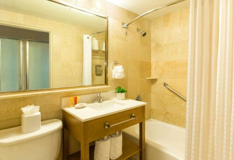 带大床的标准间, Best Western Plus Atlantic Beach Resort