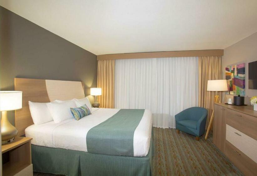 带大床的标准间, Best Western Plus Atlantic Beach Resort