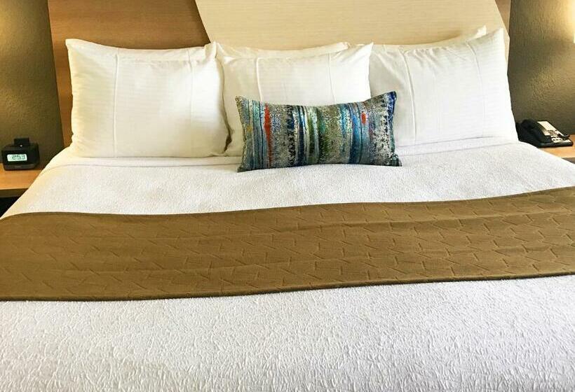 带双人大床的行政管理套房, Best Western Plus Atlantic Beach Resort