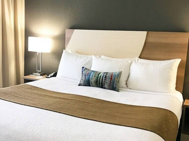 标准间带双人床, Best Western Plus Atlantic Beach Resort