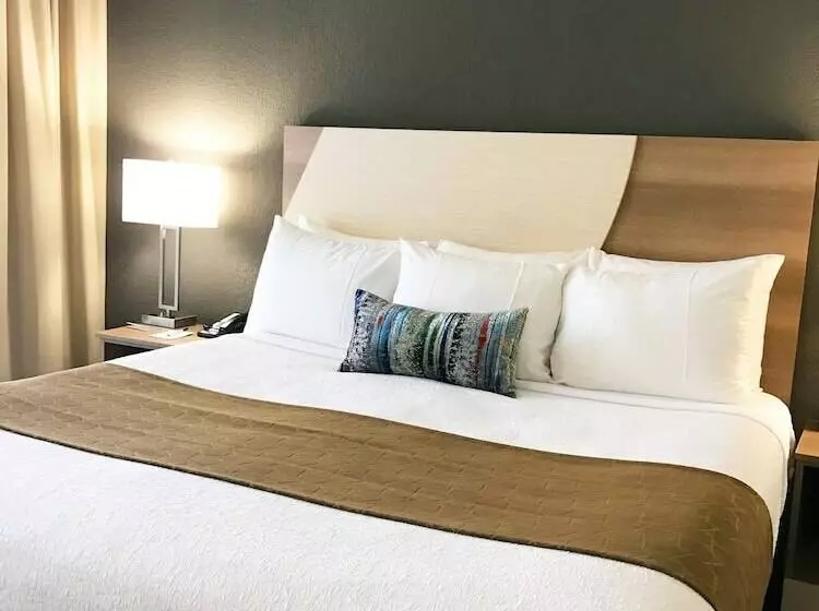 اتاق استاندارد با تخت دوبل, Best Western Plus Atlantic Beach Resort