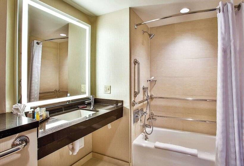 جناح لذوى الاحتياجات الخاصة, Embassy Suites By Hilton Chicago Downtown Magnificent Mile