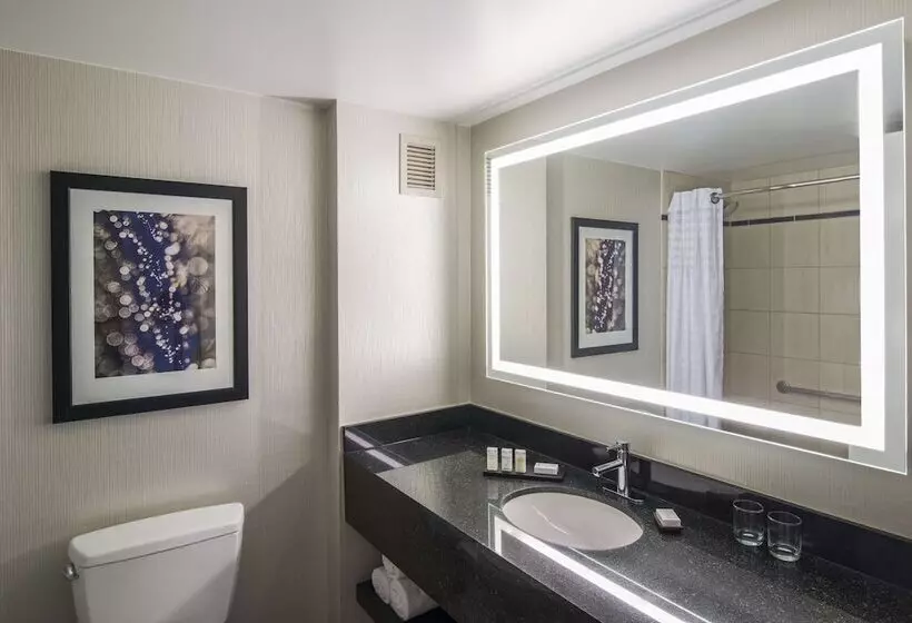 Premium-sviitti, Embassy Suites By Hilton Chicago Downtown Magnificent Mile