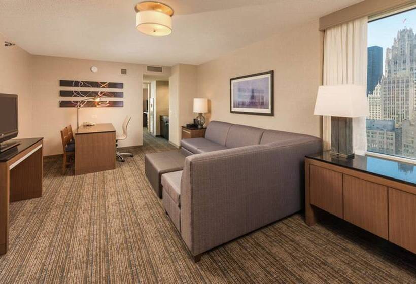 سوئیت پریمیوم, Embassy Suites By Hilton Chicago Downtown Magnificent Mile